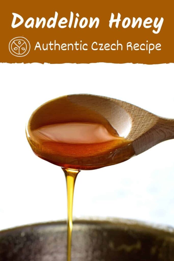 dandelion honey czech pampeliskovy med